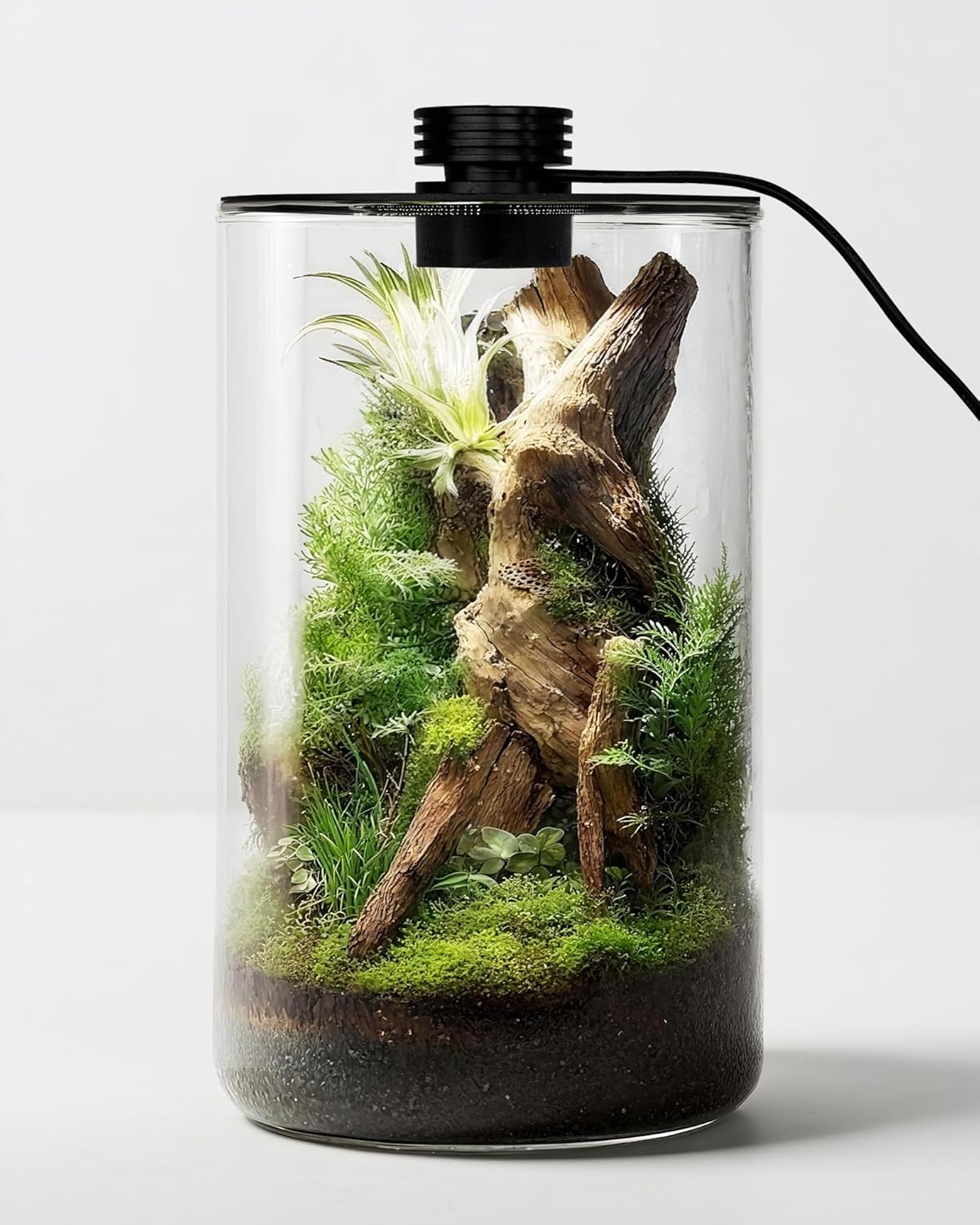 Home Office Lamp - Indoor Glass Terrarium with Grow Light,