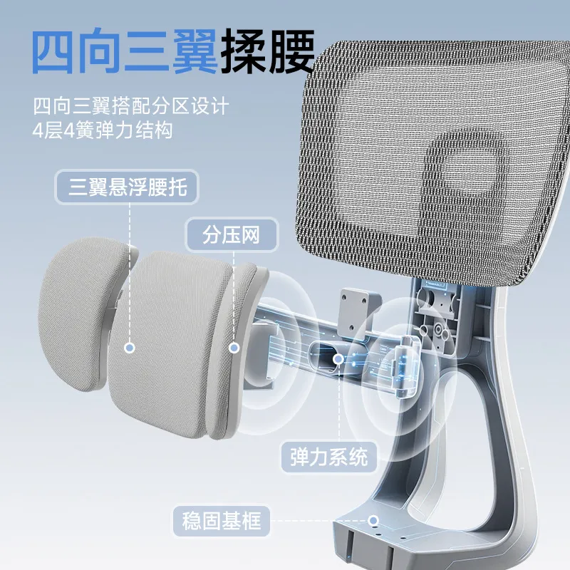 Ergonomic Office Chair with Lu - огляд і ціна Home Office Desks