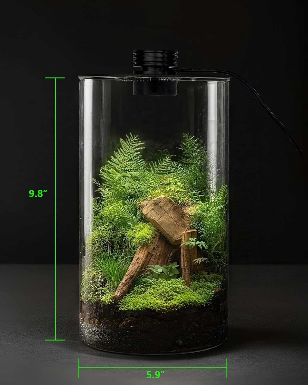 Indoor Glass Terrarium with Gr - огляд і ціна Home Office Lamp