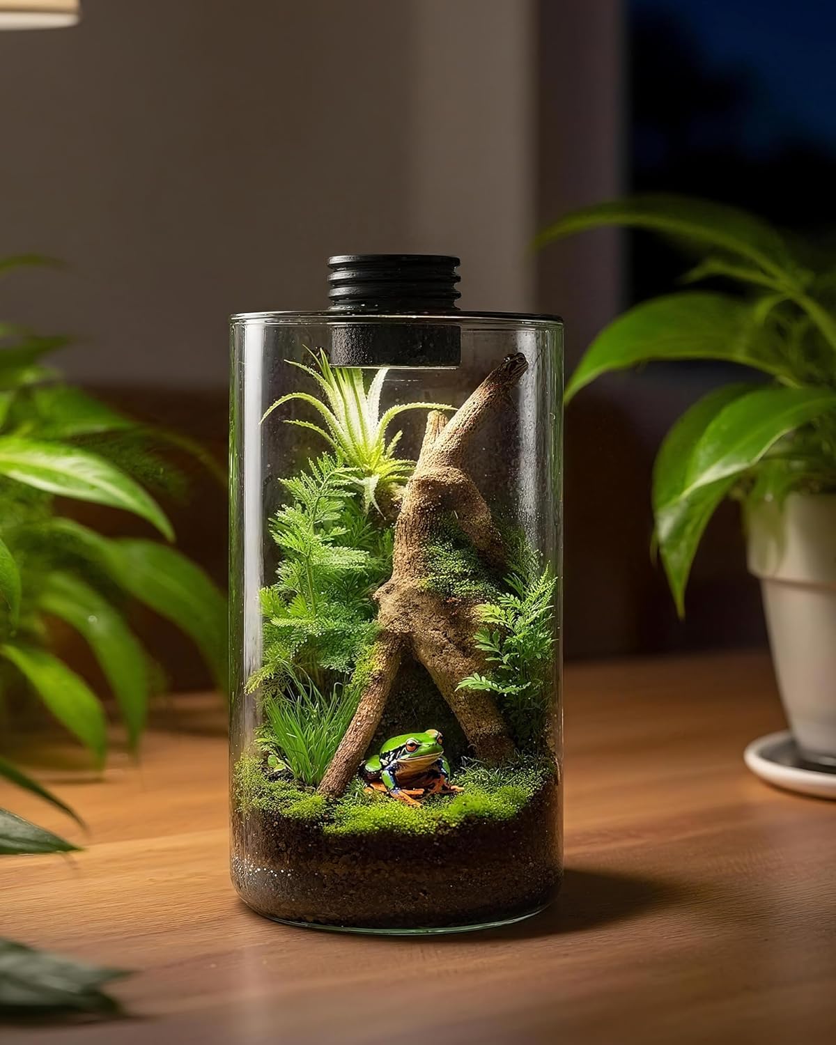 Indoor Glass Terrarium with Gr - огляд і ціна Home Office Lamp