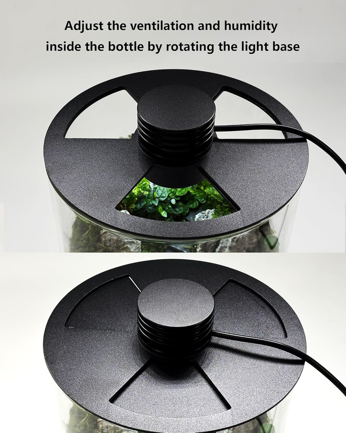 Indoor Glass Terrarium with Gr - огляд і ціна Home Office Lamp
